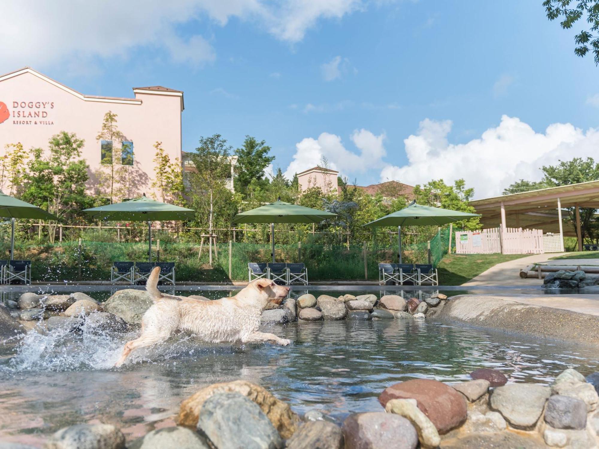 Hotel Koyaru-No-Sato Doggys Island Yachimata Zewnętrze zdjęcie