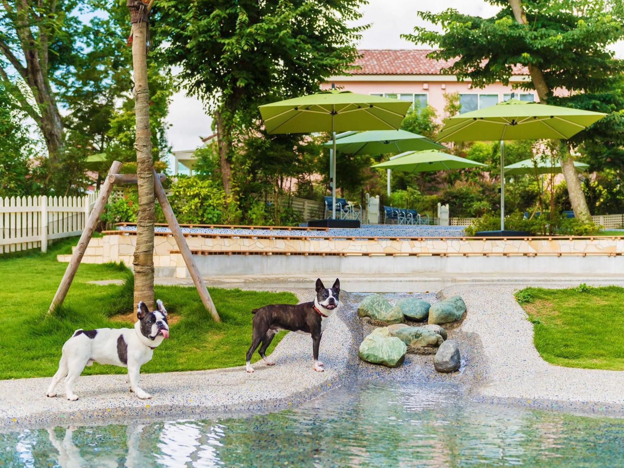 Hotel Koyaru-No-Sato Doggys Island Yachimata Zewnętrze zdjęcie