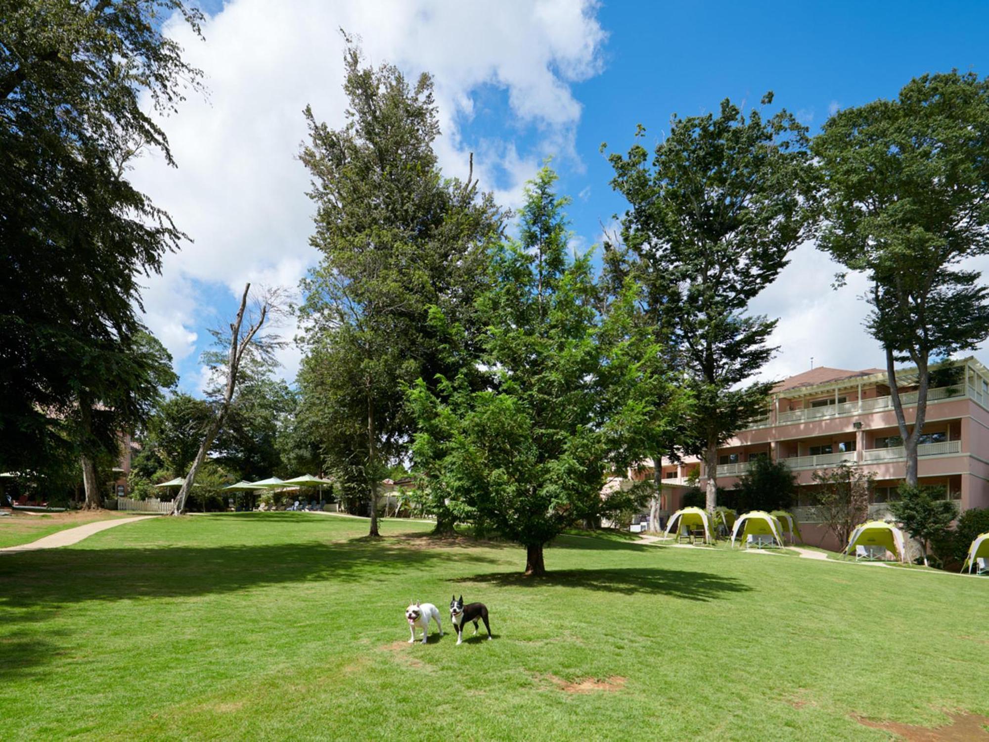 Hotel Koyaru-No-Sato Doggys Island Yachimata Zewnętrze zdjęcie