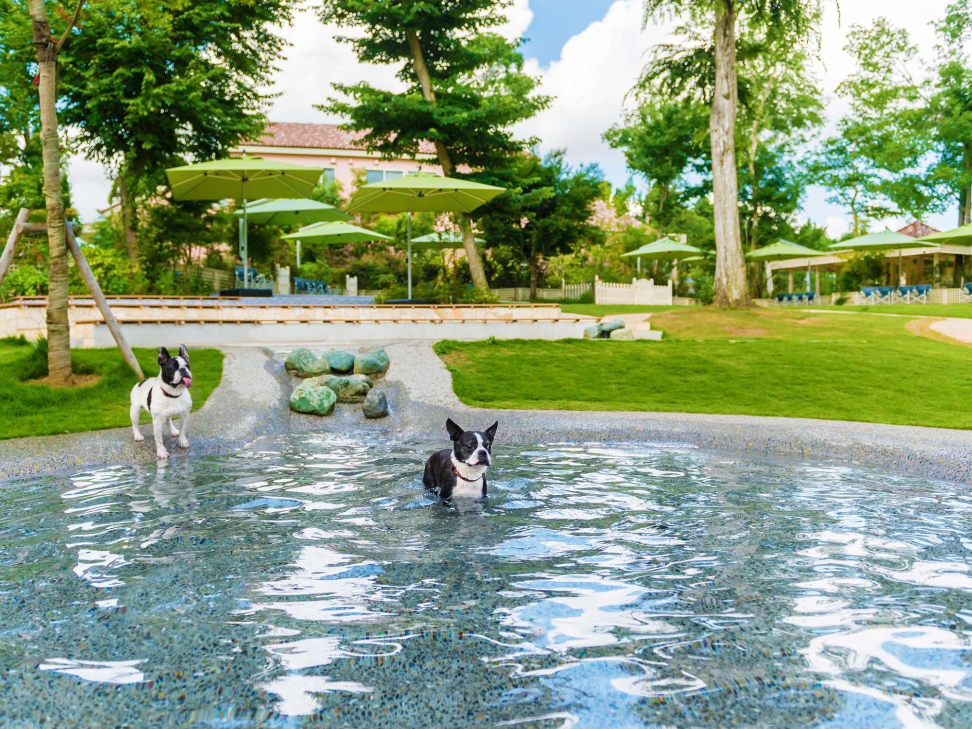 Hotel Koyaru-No-Sato Doggys Island Yachimata Zewnętrze zdjęcie